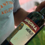 Vere Merlot